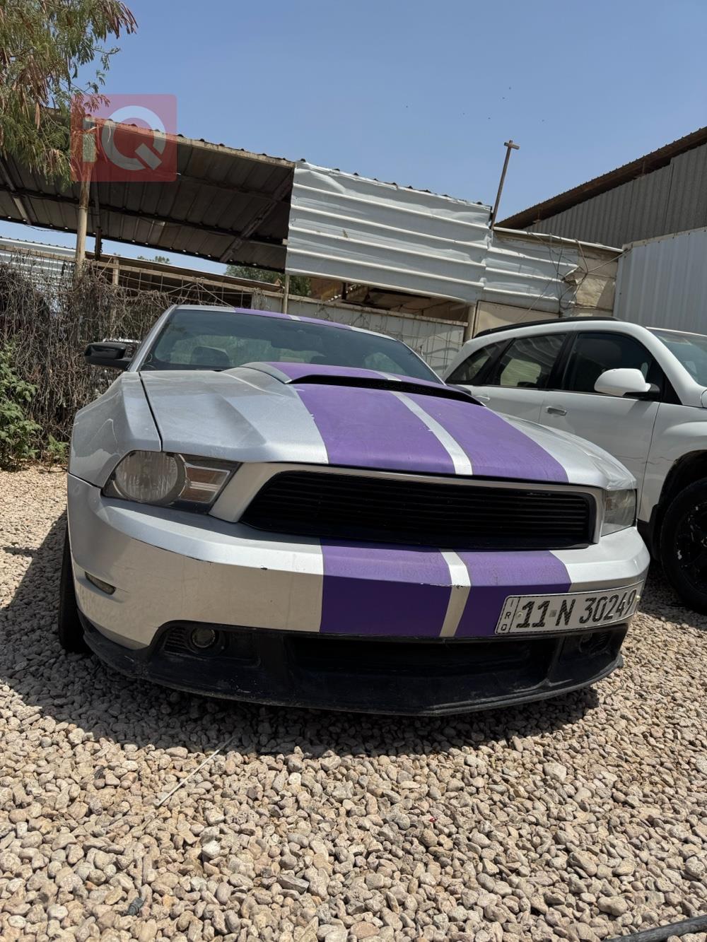 فۆرد مۆستانگ
